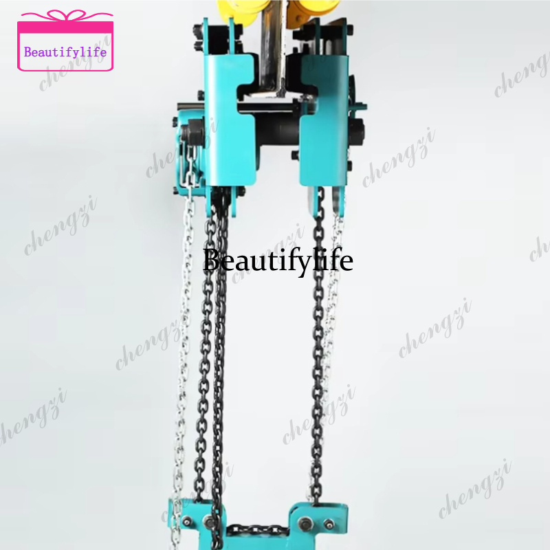 Heavy Equipment Lifting - Paranco manuale a catena doppia a