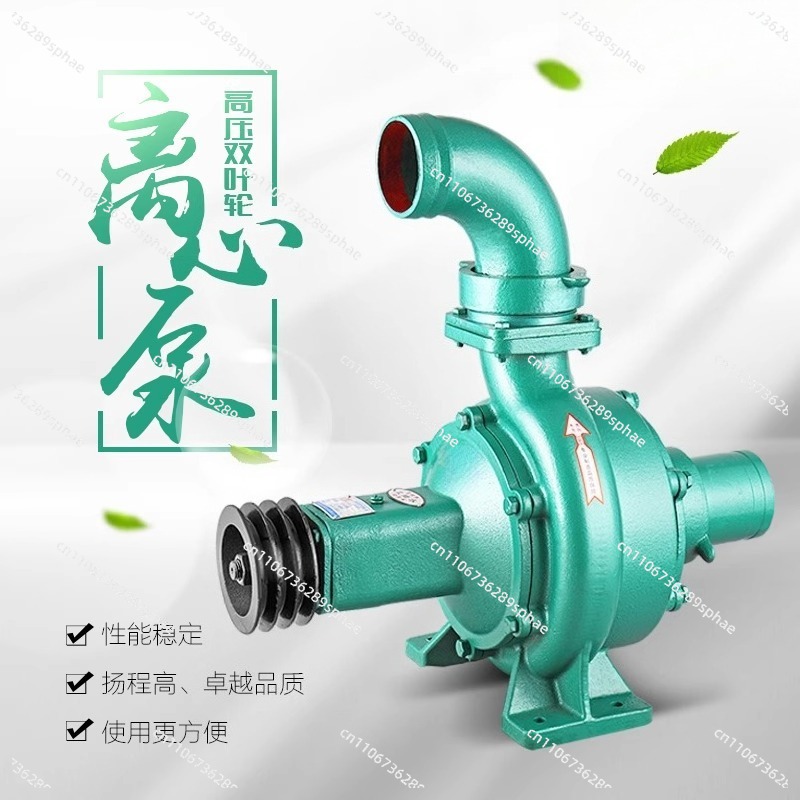 Pompa centrifuga a doppia gira - Diesel Water Pump recensione e prezzo