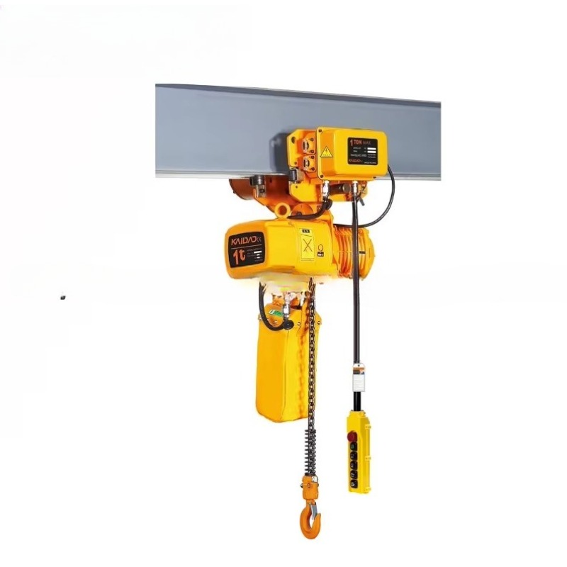 Paranco Elettrico a Catena a D - Heavy Equipment Lifting recensione e prezzo