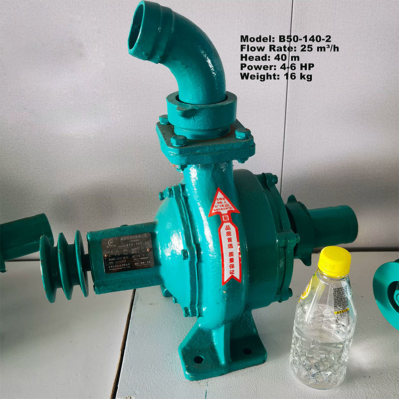 Pompa Centrifuga a Doppia Turb - Diesel Water Pump recensione e prezzo
