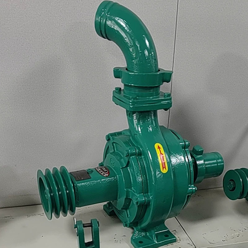Pompa Centrifuga a Doppia Turb - Diesel Water Pump recensione e prezzo