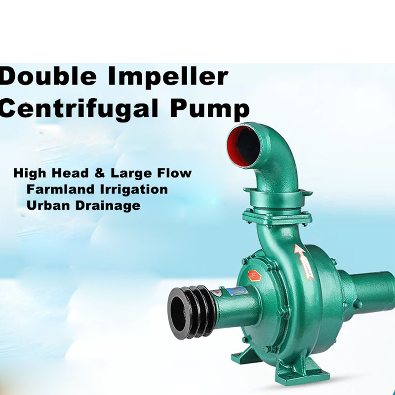 Pompa Centrifuga a Doppia Turb - Diesel Water Pump recensione e prezzo