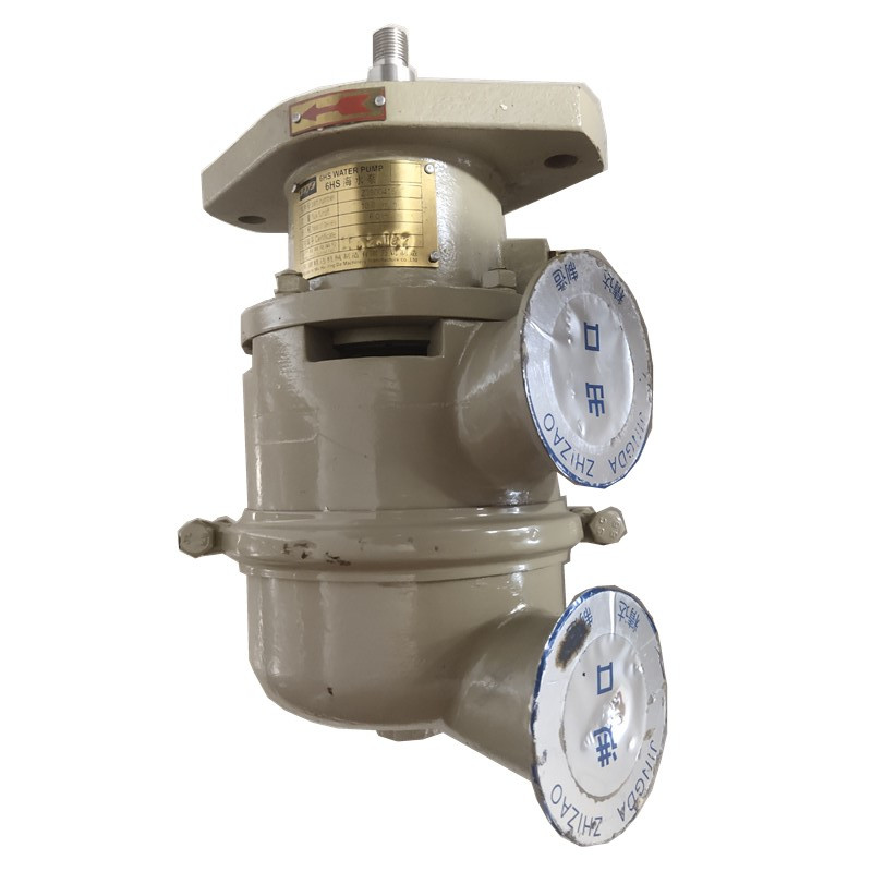 Pompa dell'acqua di mare dei p - Diesel Water Pump recensione e prezzo