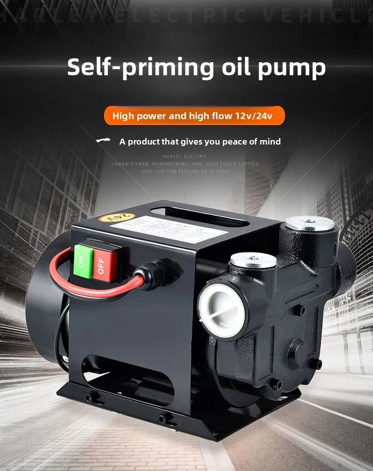 Nuova Pompa Elettrica per Olio - Diesel Water Pump recensione e prezzo