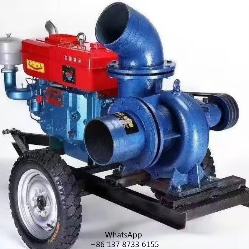 Pompa dell'acqua del motore di - Diesel Water Pump recensione e prezzo